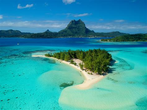 Magic of polynezia